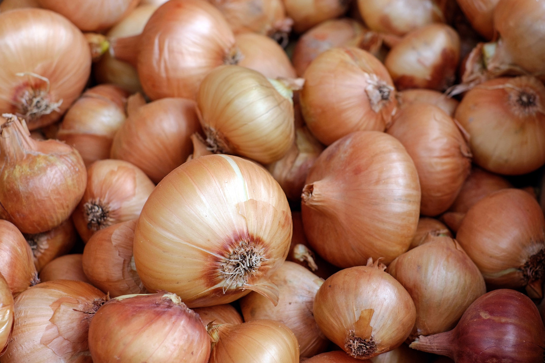 Healthy Onions Background